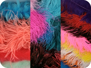 Feathers