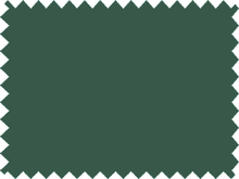  Lustre (Shiny) Lycra - Forest Green