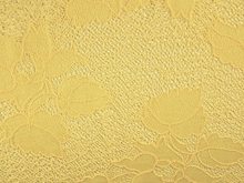 Aeriel Stretch Lace - Daffodil