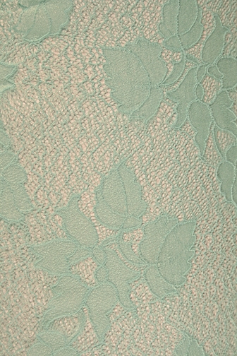 Aeriel Stretch Lace - Mint Green