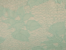 Aeriel Stretch Lace - Mint Green