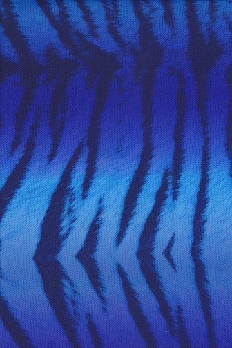 Bengal Tiger Lycra - Sapphire/Royal Blue/Sky Blue