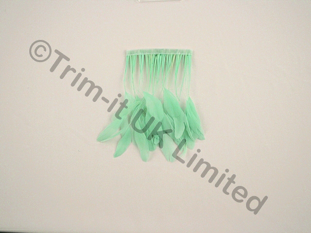 15cm Stripped Coque Feather Fringe 10cm pc. - Spearmint