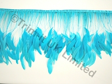 20cm Stripped Coque Feather Fringe - Barbados