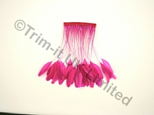 20cm Stripped Coque Feather Fringe 10cm piece - Electric Pink