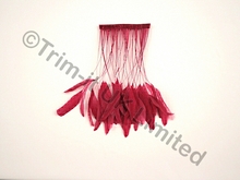 20cm Stripped Coque Feather Fringe 10cm piece - Claret