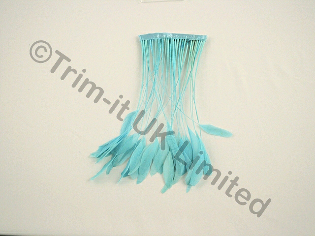 20cm Stripped Coque Feather Fringe 10cm piece - Pale Turquoise