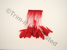 20cm Stripped Coque Feather Fringe 10cm piece - Flamenco Red