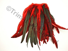 35cm Full Feather Mixed Coque Fringe10cm piece - Neon Red