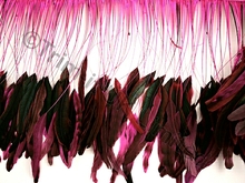 35cm Stripped Feather Mixed Coque Fringe - Electric Pink