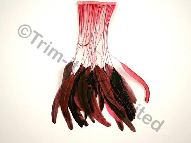 35cm Stripped Feather Mixed Coque 10cm pc - Pink Grapefruit