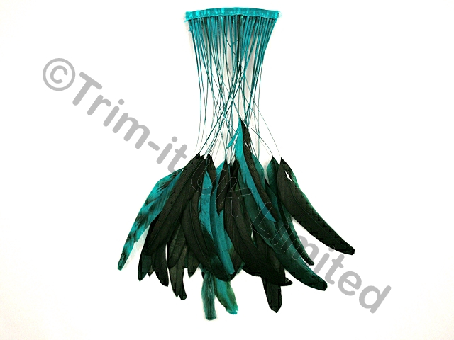 35cm Stripped Feather Mixed Coque 10cm pc - Jade(Peacock)