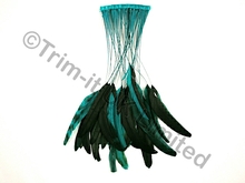 35cm Stripped Feather Mixed Coque 10cm pc - Jade(Peacock)