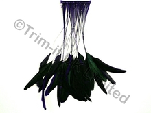 35cm Stripped Feather Mixed Coque 10cm pc - Sapphire