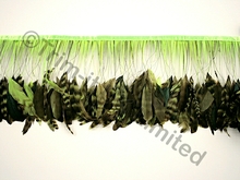 20cm Stripped Feather Mixed Coque Fringe - Tropic Lime