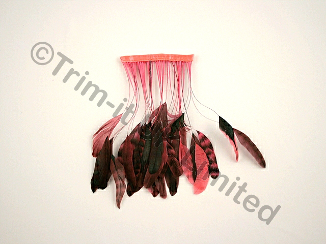 20cm Stripped Feather Mixed Coque  10cm pc. - Pink Grapefruit