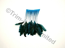 20cm Stripped Feather Mixed Coque  10cm pc. - Turquoise