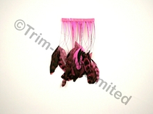 20cm Stripped Feather Mixed Coque  10cm pc. - Neon Cerise