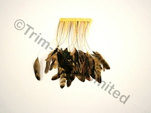 20cm Stripped Feather Mixed Coque  10cm pc. - Sunrise