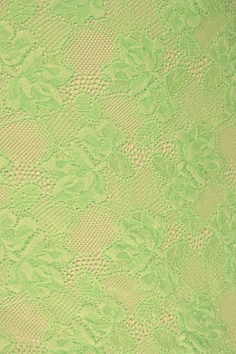 Cinderella Stretch Lace - Spearmint