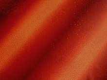 Cirrus Verde Hologram Lycra - Mango/Brick Red