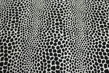 Clearance Print Lycra (Design 27) - White/Black