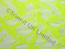 Coral Stretch Lace - Tropic Lime