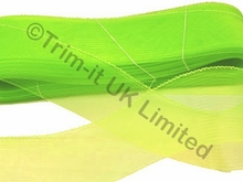 NEW 76mm Crinoline(GB) - Soft Boning - Flo. Apple