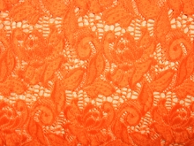 English Rose Stretch Lace - Flo. Orange