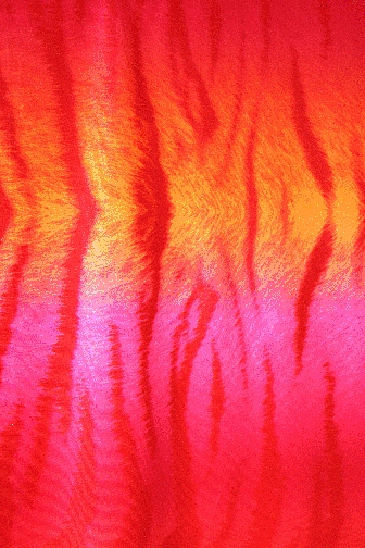 Flourescent Bengal Tiger Lycra - Flo. Apricot/Neon Cerise