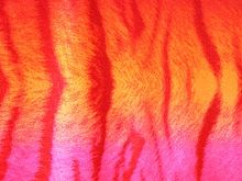 Flourescent Bengal Tiger Stretch Net - Flo. Apricot/Neon Cerise