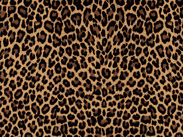 Leopard Lycra - Gold/Black