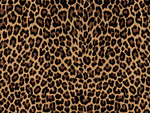 Leopard Lycra - Gold/Black