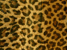 Leopard Metallic Lycra - Gold/Black