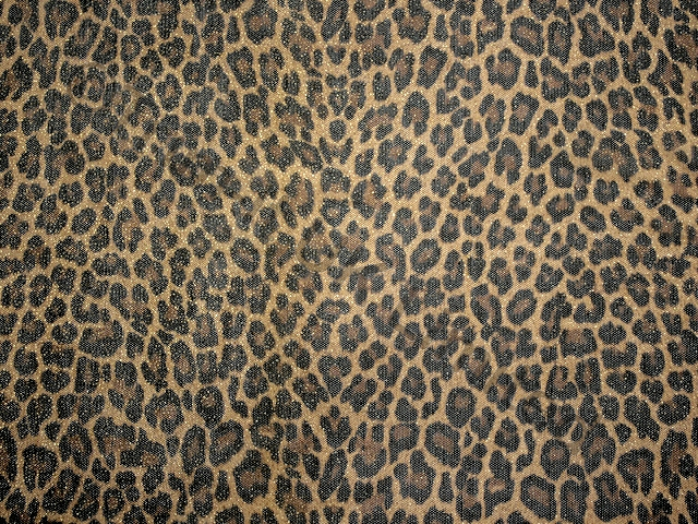 Leopard Glitter Stretch Net - Black/Gold/Metallic Gold