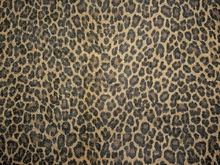 Leopard Glitter Stretch Net - Black/Gold/Metallic Gold