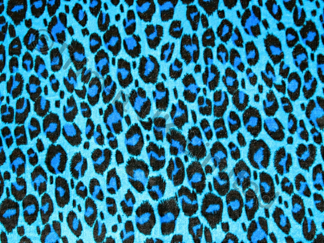 Leo Smooth Stretch Velvet - Turquoise/Electric Blue/Black