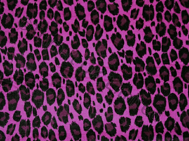 Leo Smooth Stretch Velvet - Fuchsia/Purple Rain/Black