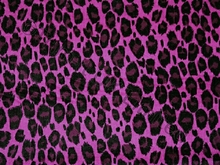 Leo Smooth Stretch Velvet - Fuchsia/Purple Rain/Black