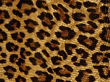 Leopard Smooth Velvet Lycra - Gold/Black