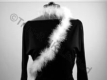 Marabou Feather Trim(Boa=Approx.2 metre piece) - White