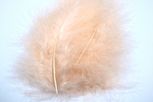 Marabou Small Feathers(approx.20 per pkt.) - Champagne