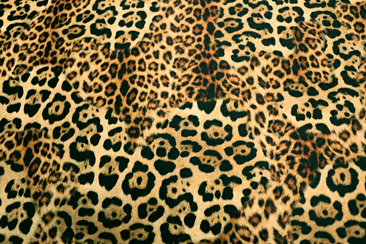 Mixed Leopard Lycra - Gold/Black