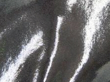 Metallica Lycra Shine - Gunmetal