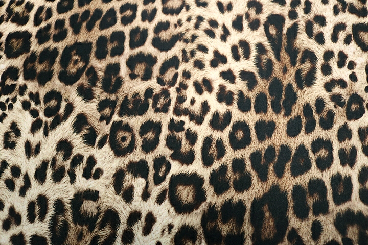 Natural Leopard Lycra - Ivory/Flesh/Black