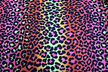 Ombre Leopard Lycra - Flo.Multi