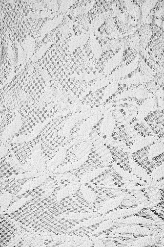 Palm Stretch Lace - White