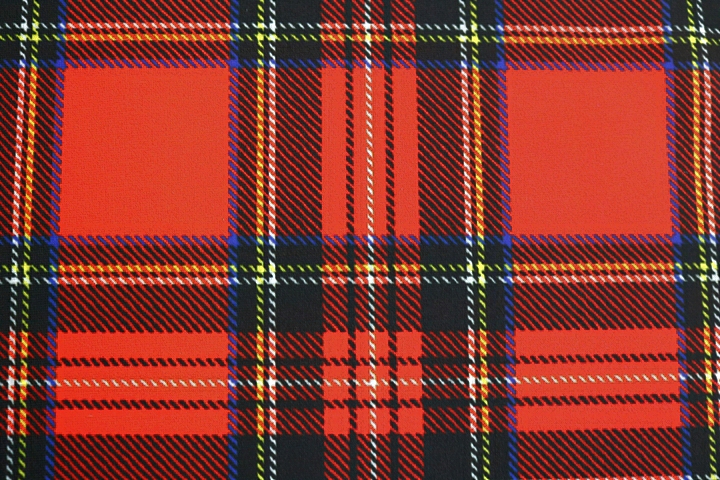 Royal Stewart Tartan Lycra - Flamenco Red