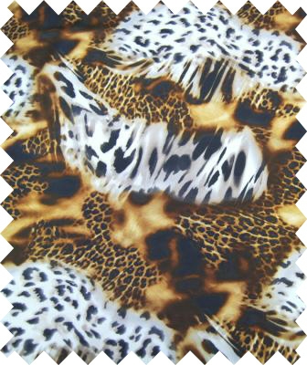 Safari Lycra - Black/Gold