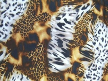 Safari Lycra - Black/Gold